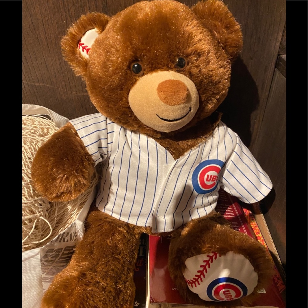 Build a bear CUBS